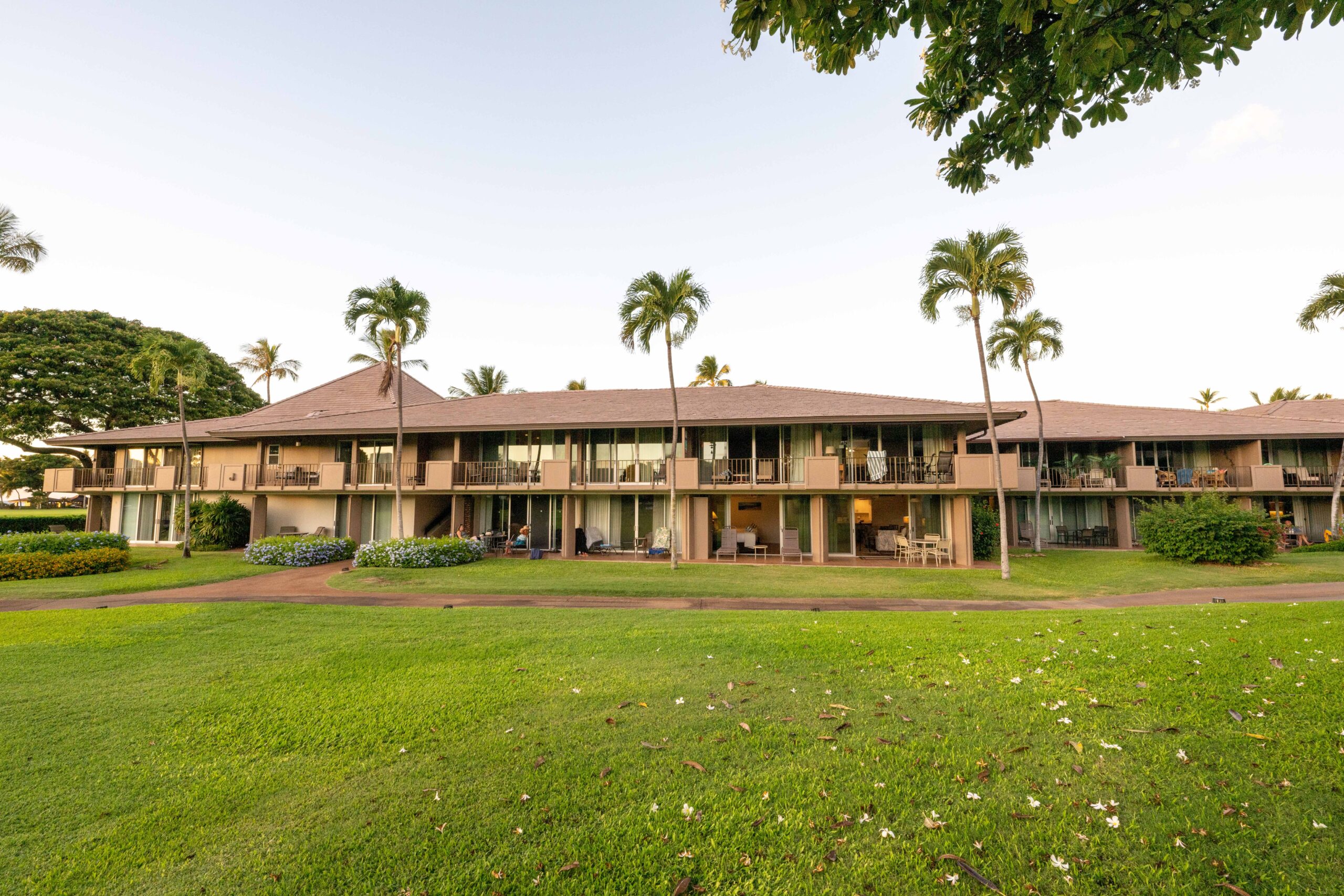 maui eldorado-101