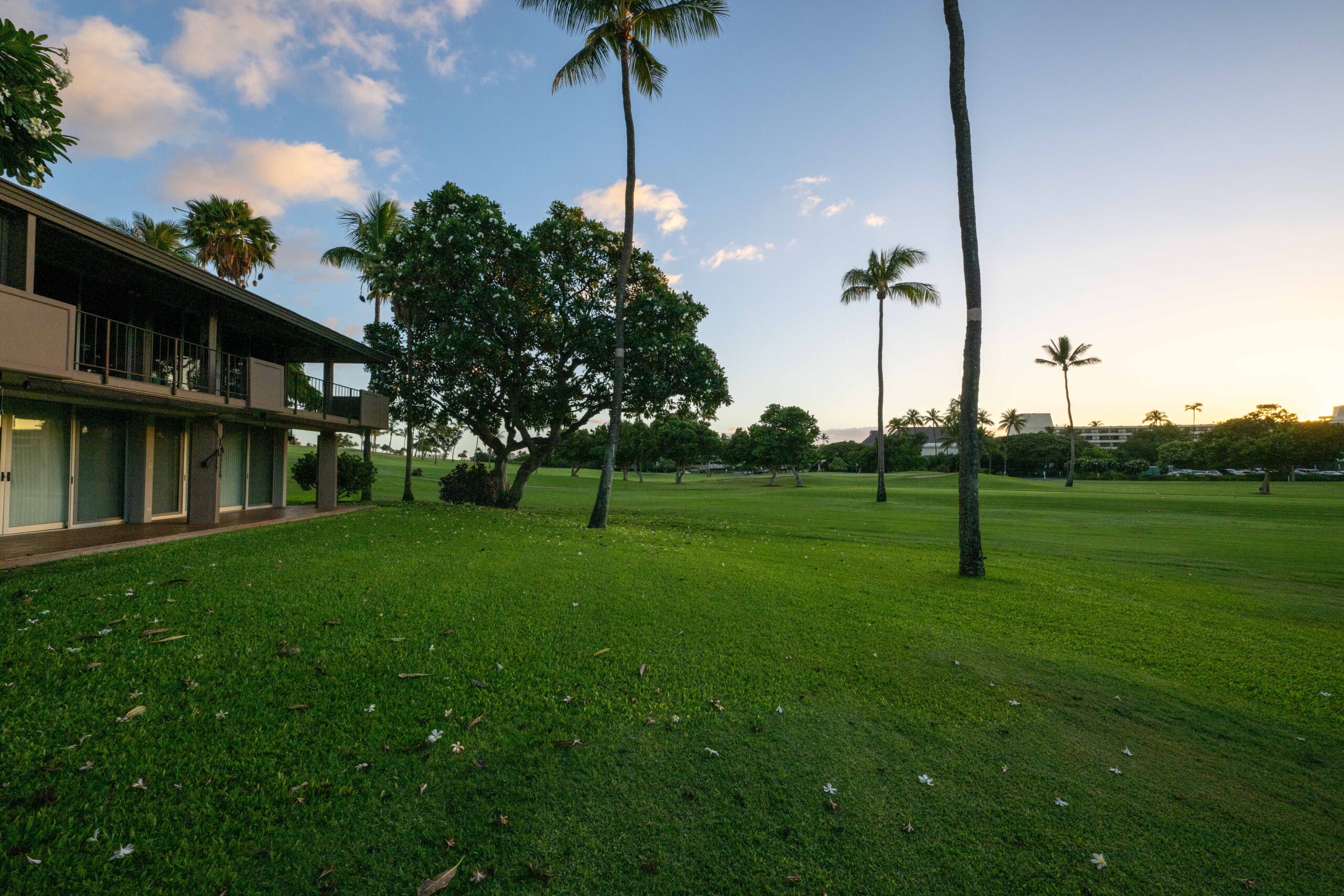 maui eldorado-102